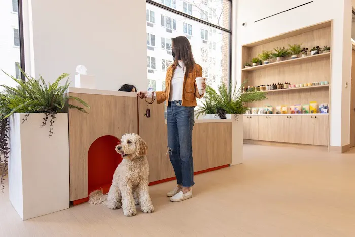 Small Door Veterinary - Gramercy 12