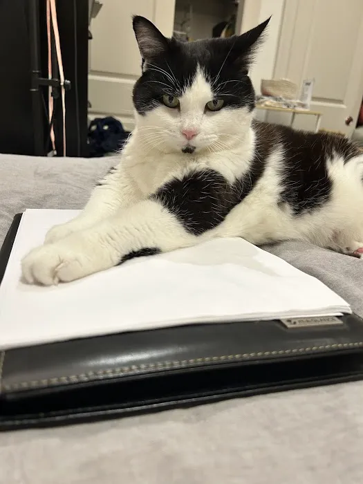 Small Door Veterinary - Gramercy 12