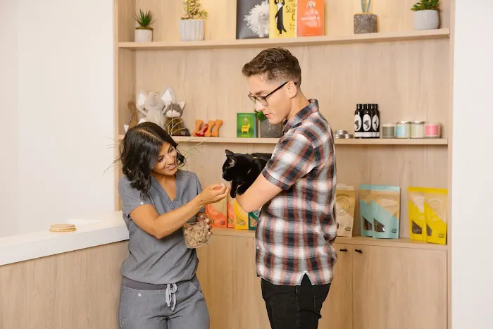 Small Door Veterinary - Gramercy 12