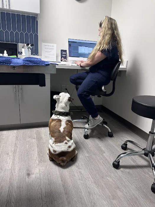 Veterinary Eye Center of New York City (Long Island City) 4