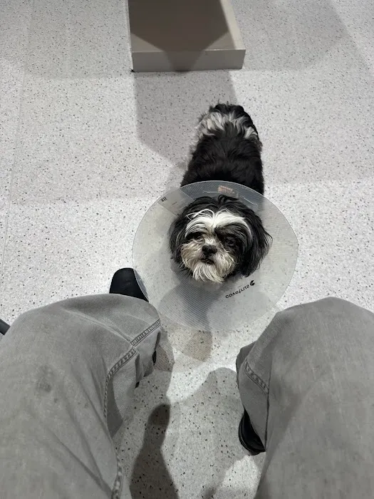 Veterinary Eye Center of New York City (Long Island City) 3
