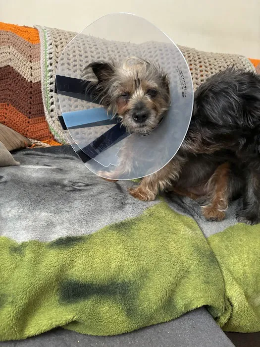 Veterinary Eye Center of New York City (Long Island City) 1