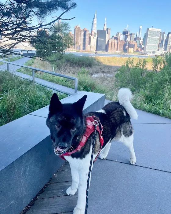 Veterinary Eye Center of New York City (Long Island City) 5