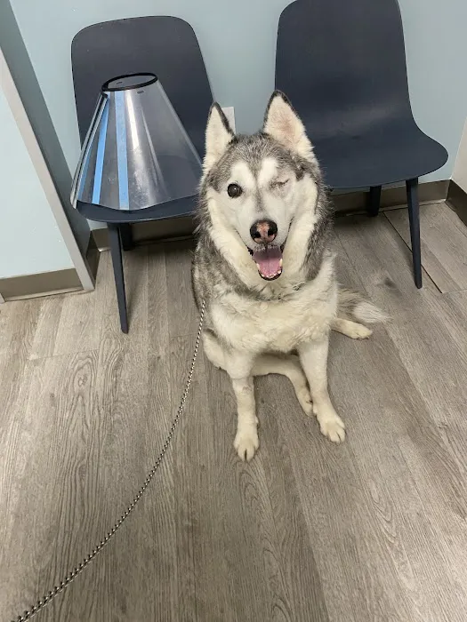 Veterinary Eye Center of New York City (Long Island City) 7