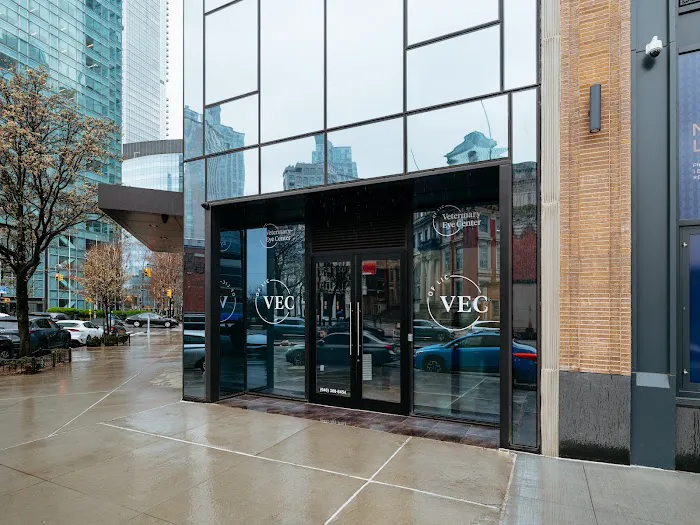 Veterinary Eye Center of New York City (Long Island City) 9