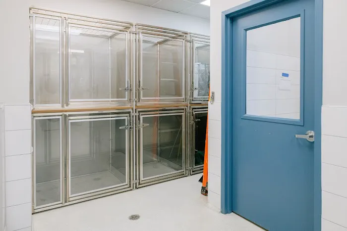 Pet Surgery Center of New York 6