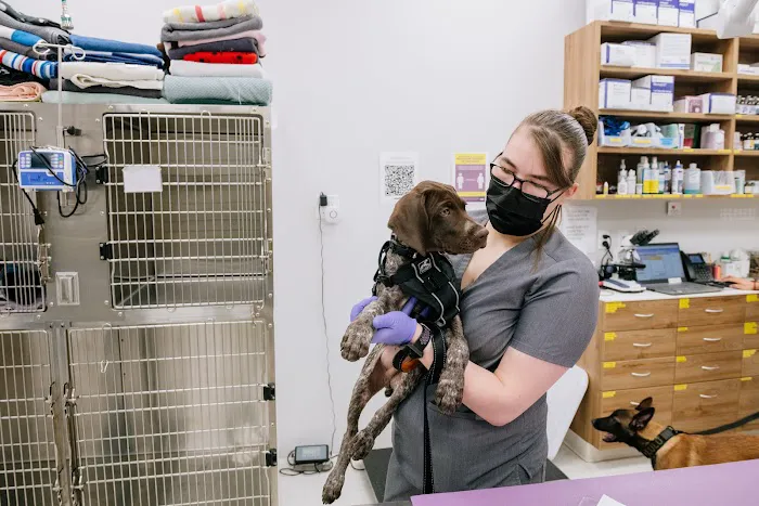 Pet Surgery Center of New York 1
