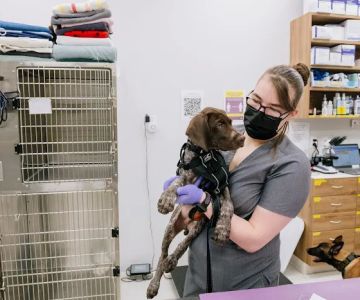 Pet Surgery Center of New York