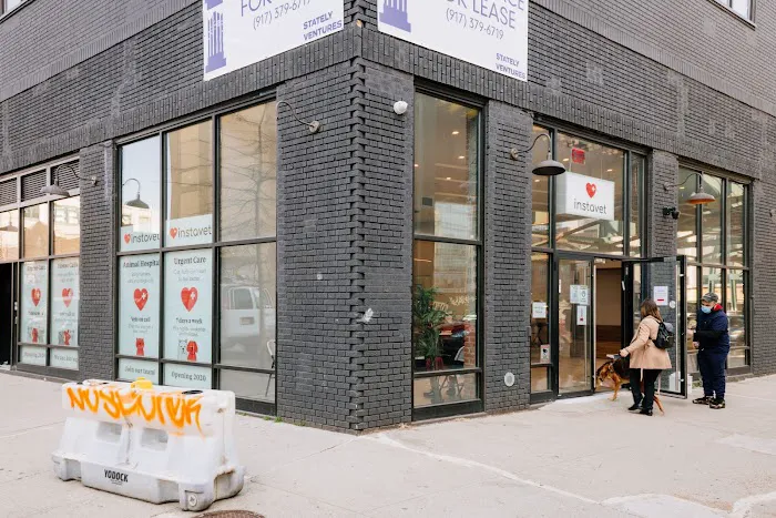 Pet Surgery Center of New York 5