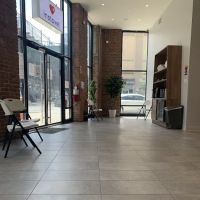 InstaVet ico