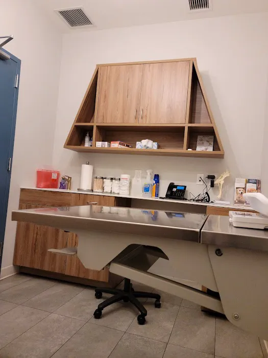 InstaVet Urgent Care & Wellness Animal Hospital - LIC Queens Pet Surgery Medical Center 4