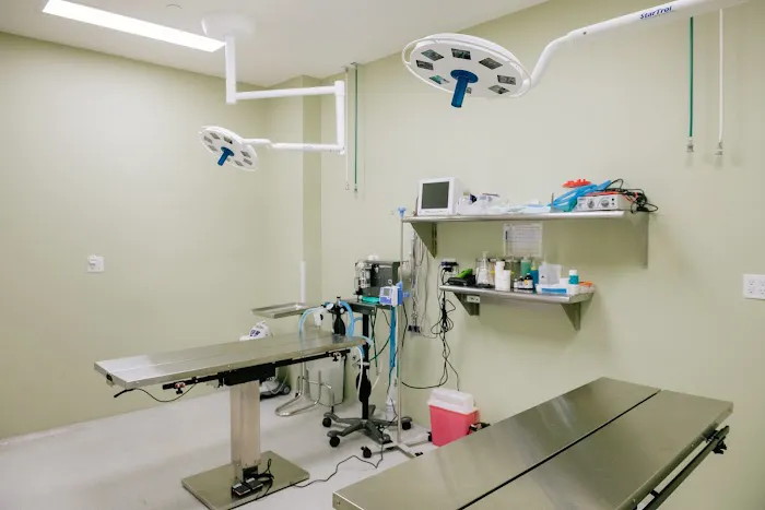 InstaVet Urgent Care & Wellness Animal Hospital - LIC Queens Pet Surgery Medical Center 3