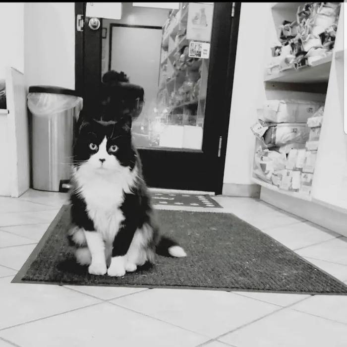 Rivergate Veterinary Clinic 9