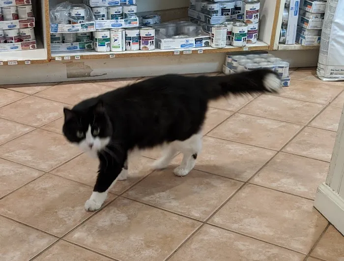Rivergate Veterinary Clinic 4