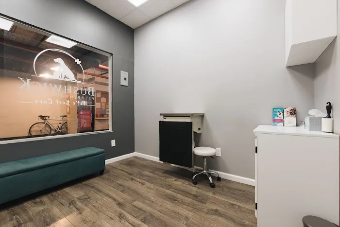 Bushwick Veterinary Center 12