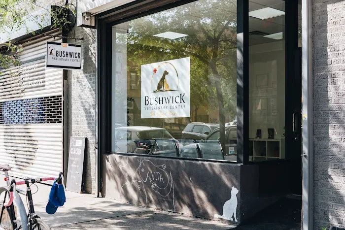 Bushwick Veterinary Center 12