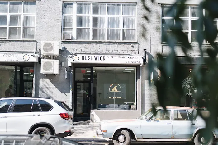 Bushwick Veterinary Center 12