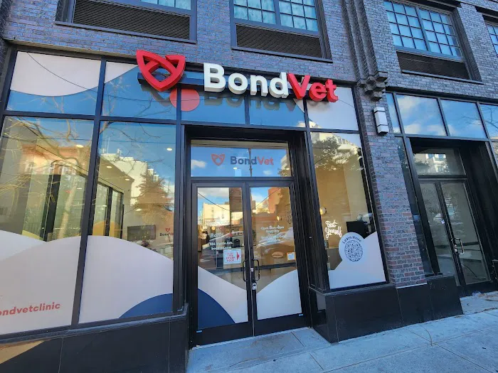 Bond Vet - Clinton Hill 7