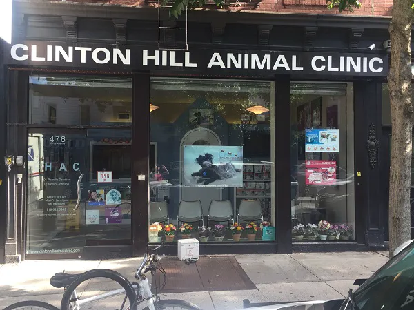 Clinton Hill Animal Clinic 8