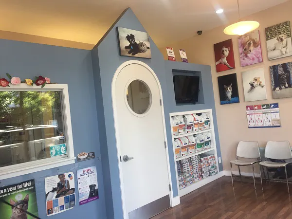 Clinton Hill Animal Clinic 6