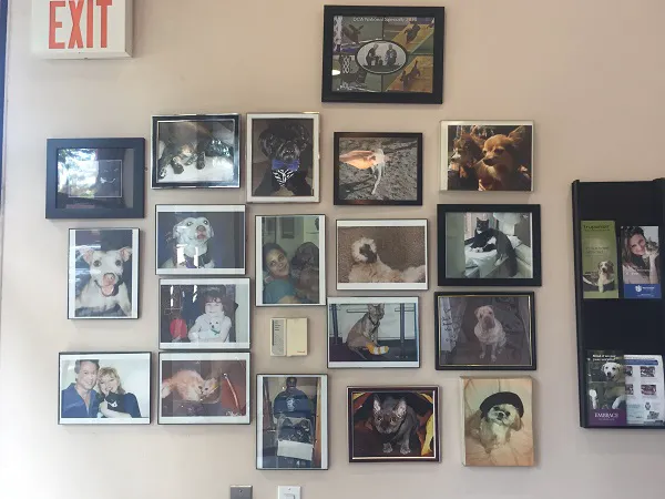 Clinton Hill Animal Clinic 5