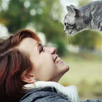 Clinton Hill Animal Clinic ico