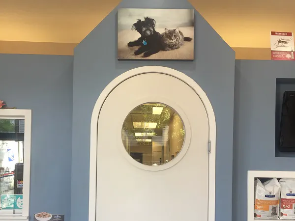 Clinton Hill Animal Clinic 10