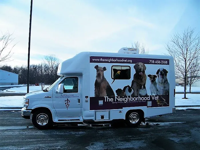 The Neighborhood Vet 2