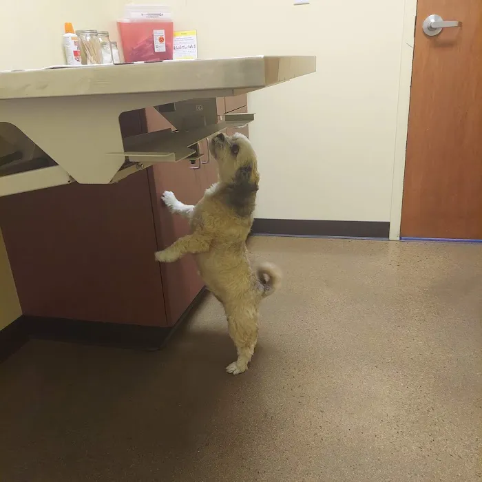 Tower Road Animal Hospital 5