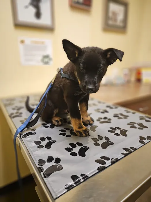 Tower Road Animal Hospital 2