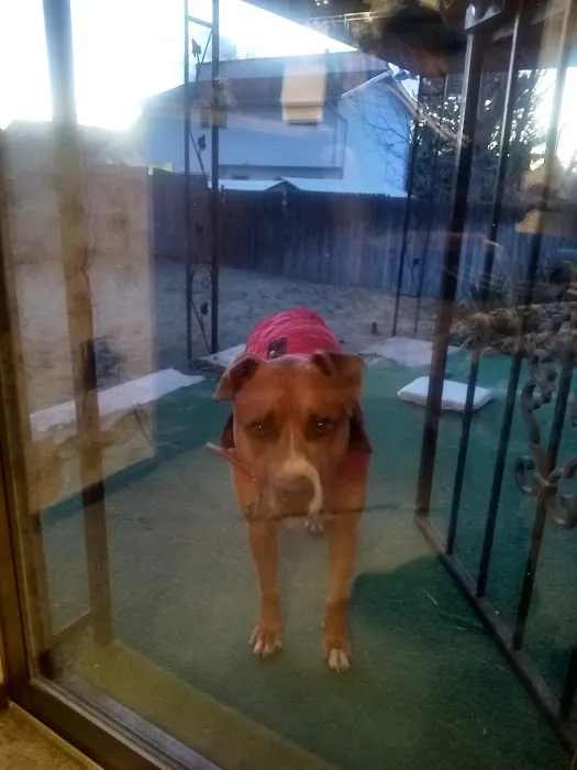 Tower Road Animal Hospital 6