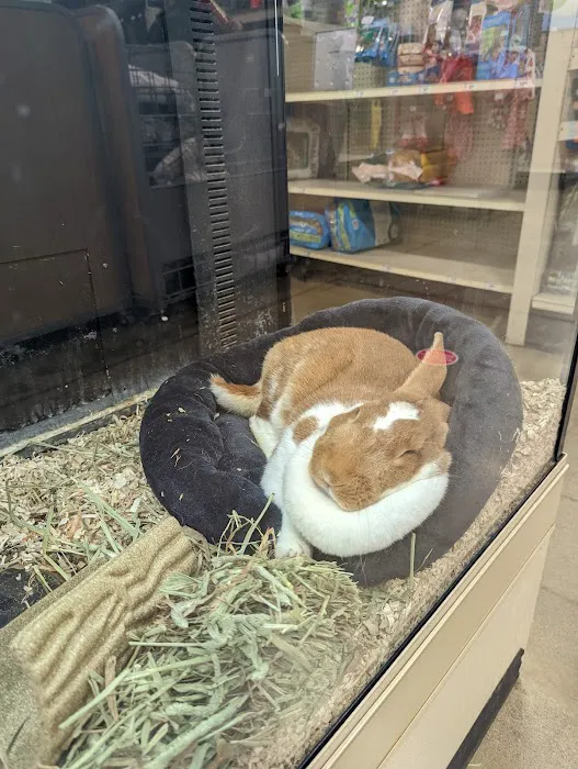 Banfield Pet Hospital 9
