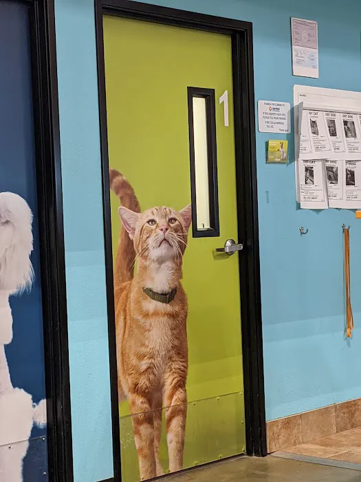 Banfield Pet Hospital 4