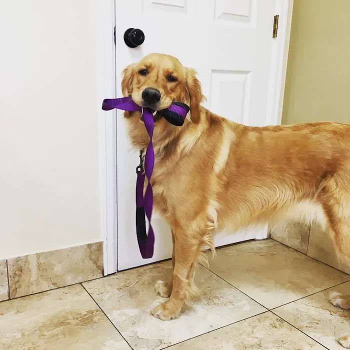 Altos Veterinary Clinic 8