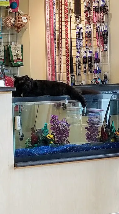Altos Veterinary Clinic 4