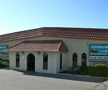 Special Friends Veterinary Clinic & Grooming