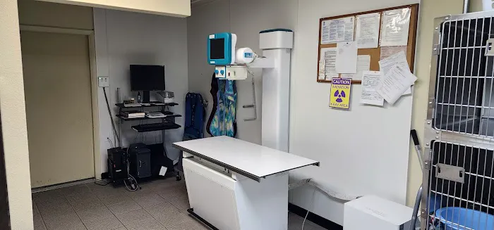 Special Friends Veterinary Clinic & Grooming 6