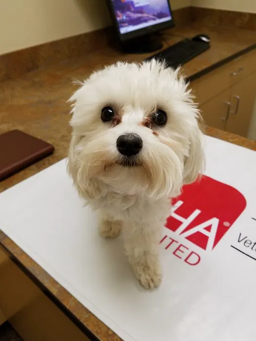 Caring Hands Veterinary Hospital 6