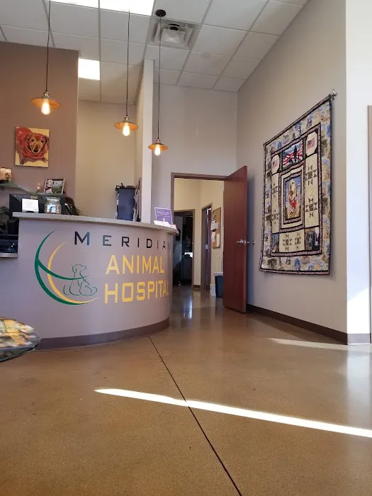 Meridian Animal Hospital 12