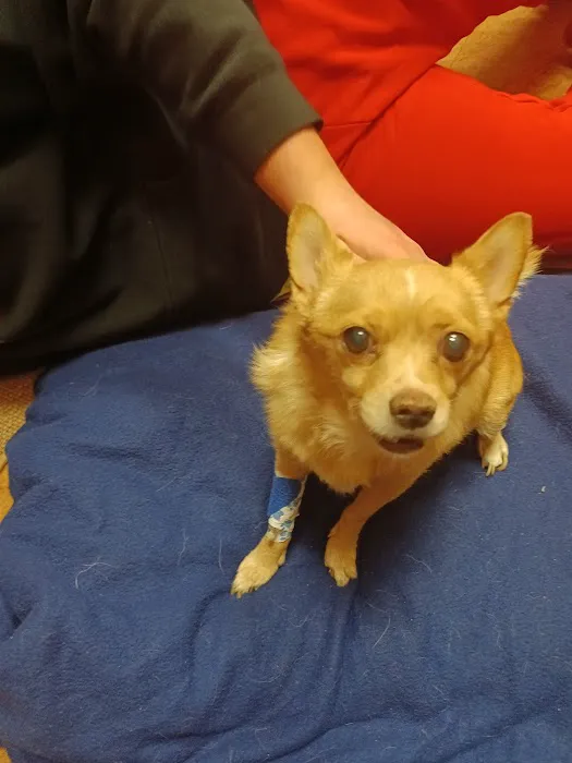 Loving Family Animal Hospital 2