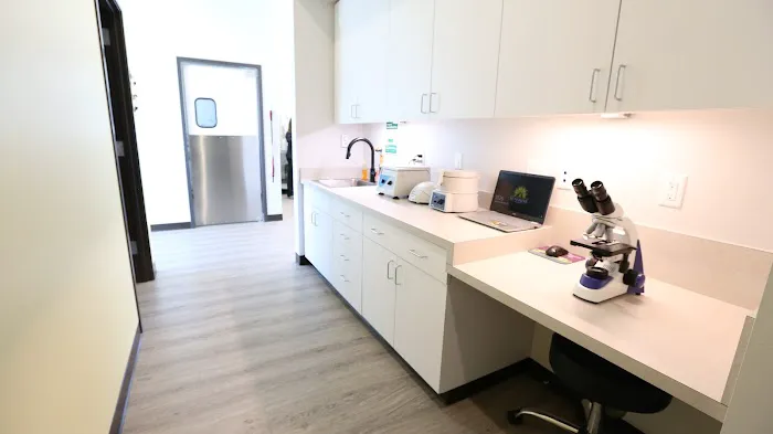 Sunshine Animal Hospital 2