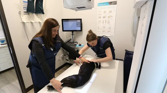 Sunshine Animal Hospital 4
