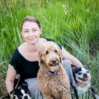 Sunshine Animal Hospital ico
