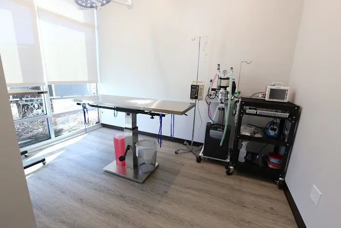 Sunshine Animal Hospital 5