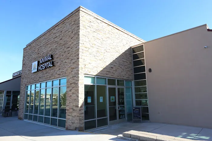 Sunshine Animal Hospital 9