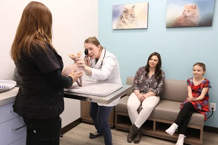 Sunshine Animal Hospital 7
