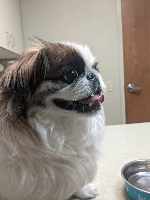 Louisville Family Animal Hospital 1