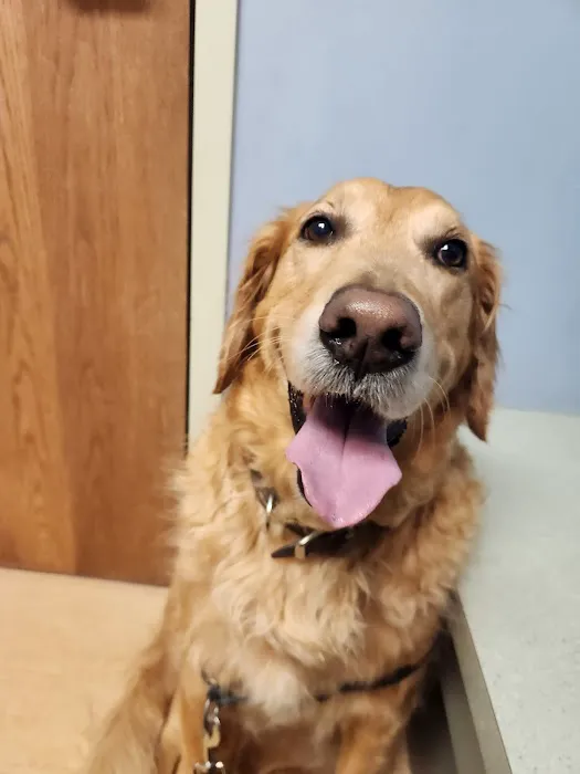 Louisville Family Animal Hospital 7