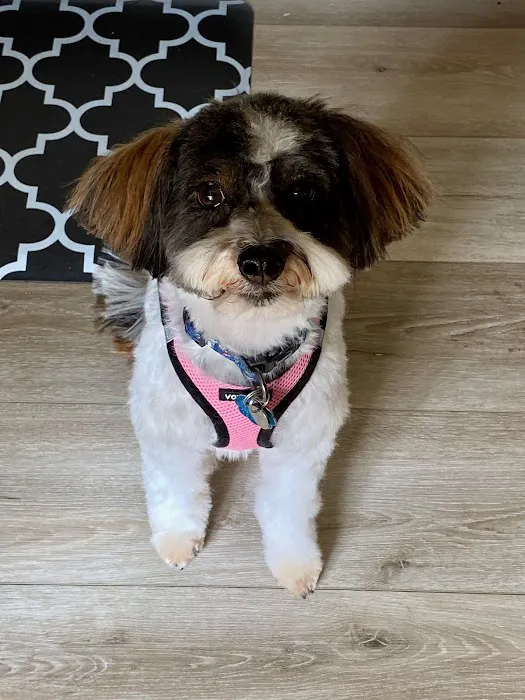 Louisville Family Animal Hospital 10