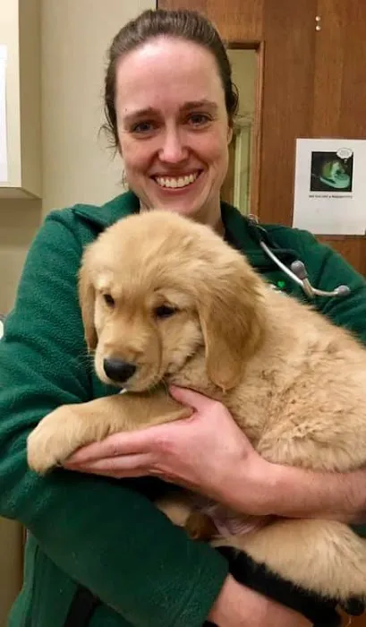 Louisville Family Animal Hospital 2